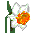 daffodil button